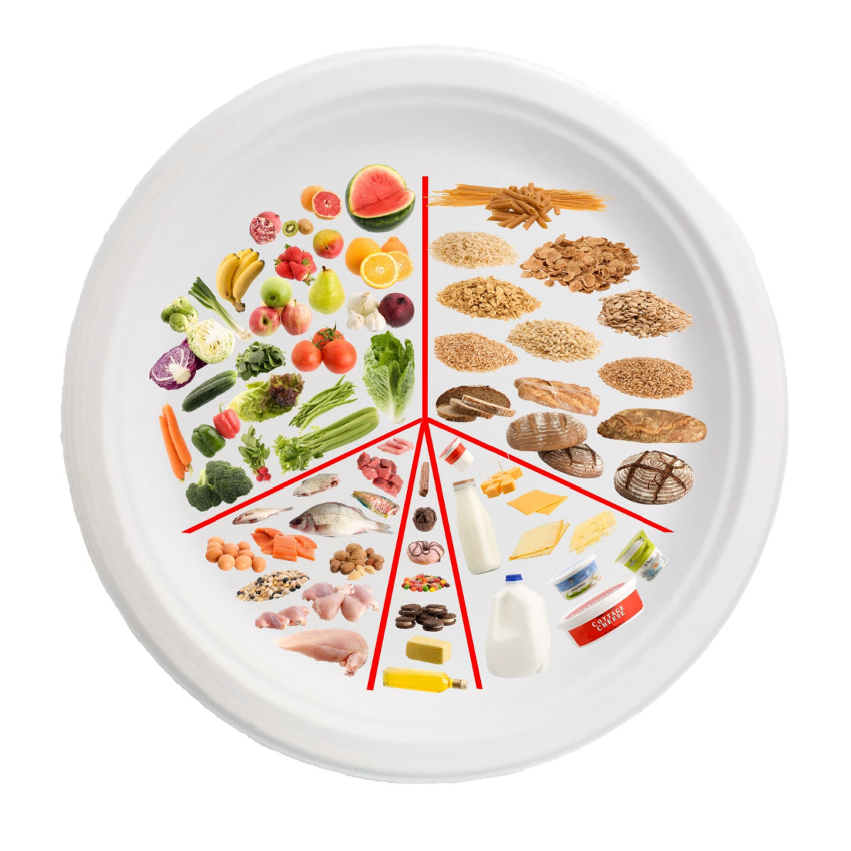 A circular plate divided into sections displays various food items like fruits, vegetables, grains, proteins, and dairy, illustrating portion control for bariatric patients.