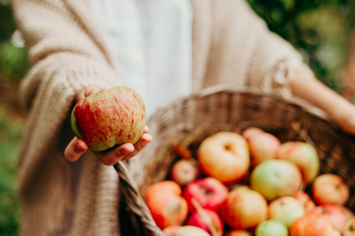 A person in a cozy sweater holds a shiny red and green apple in one hand while standing near a woven basket filled with various apples in a natural outdoor setting.