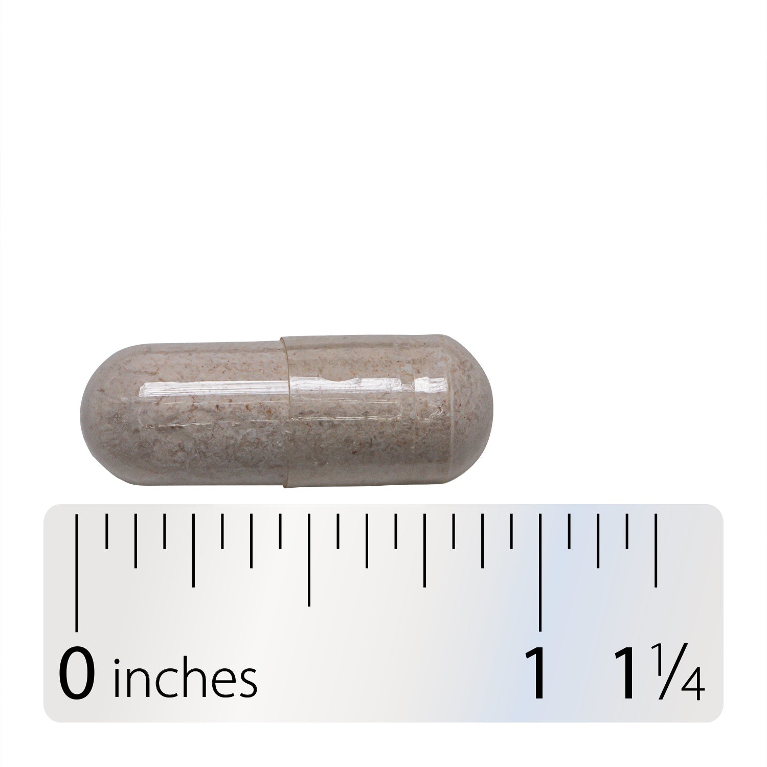 A clear capsule filled with a light brown powder is shown on a white background, accompanied by a ruler indicating its length of approximately 1.25 inches.
