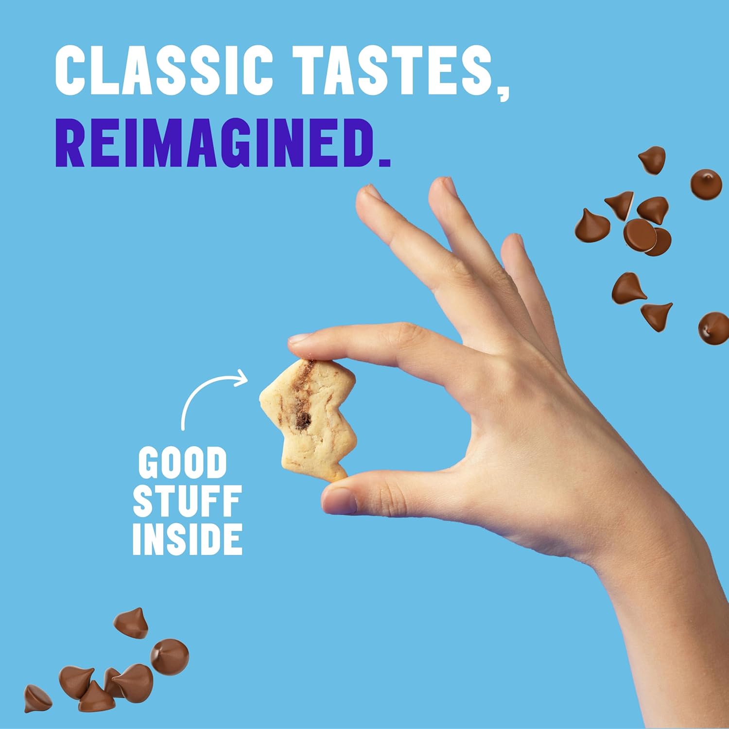 #Flavor_Chocolate Chip