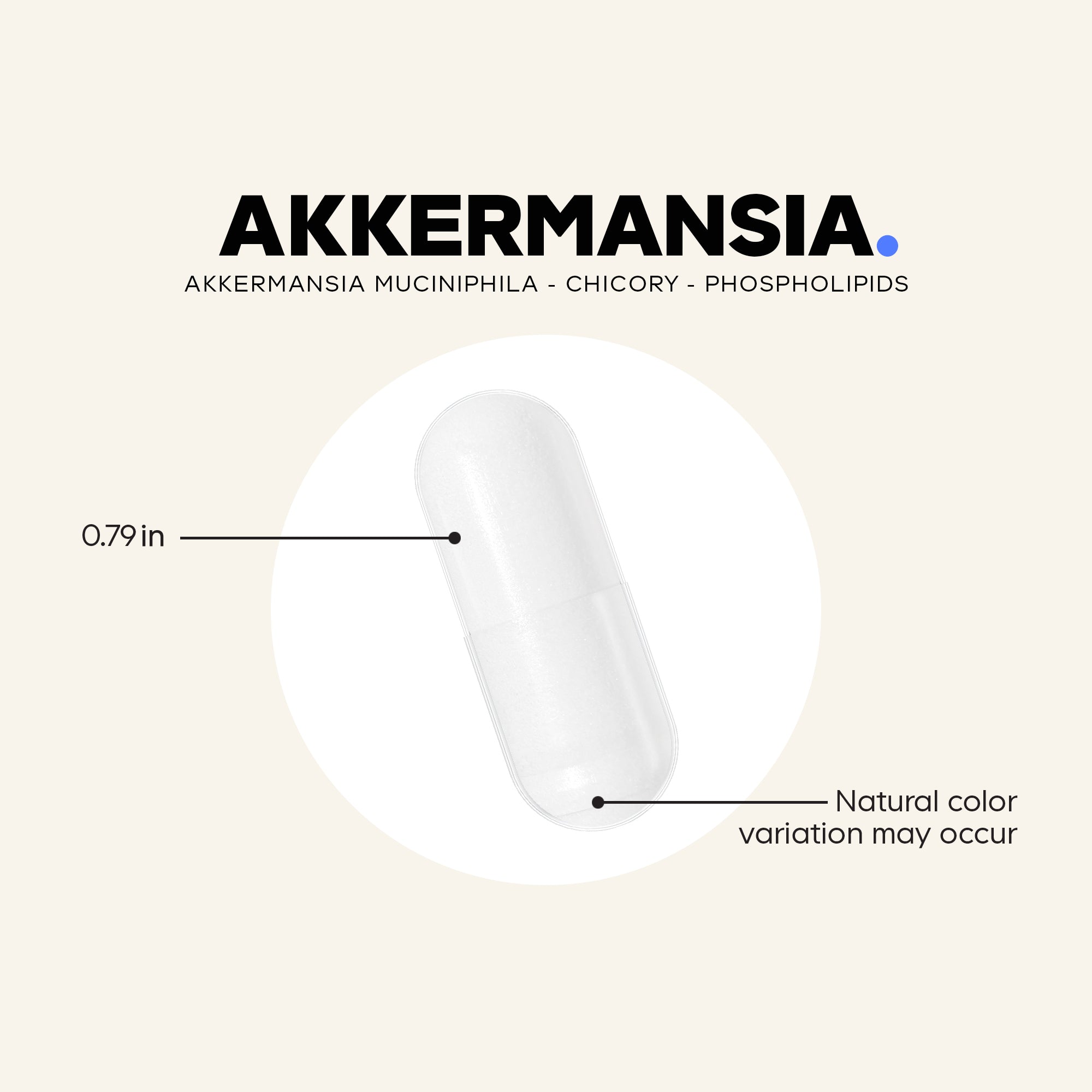 A clear capsule measuring 0.79 inches is displayed on a light background, labeled with "Akkermansia" and information about its ingredients and potential color variations.