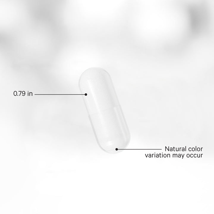 Codeage Akkermansia - Probiotic & Prebiotic