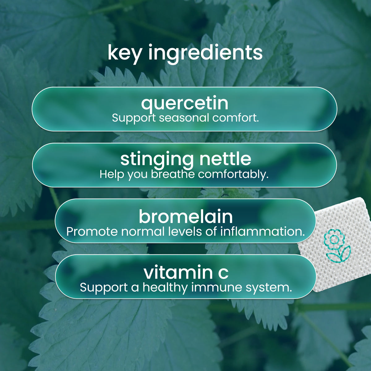 PatchAid Allergy Plus Patch with vitamin C, quercetin, stinging nettle and bromelain for seasonal allergy and immune support.