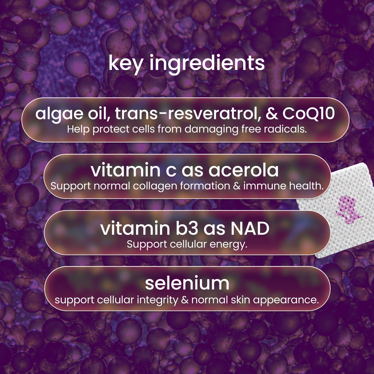 Text on a colorful background lists key ingredients for a skincare product, highlighting algae oil, vitamin C, vitamin B3, and selenium, with benefits for cellular health and skin appearance.