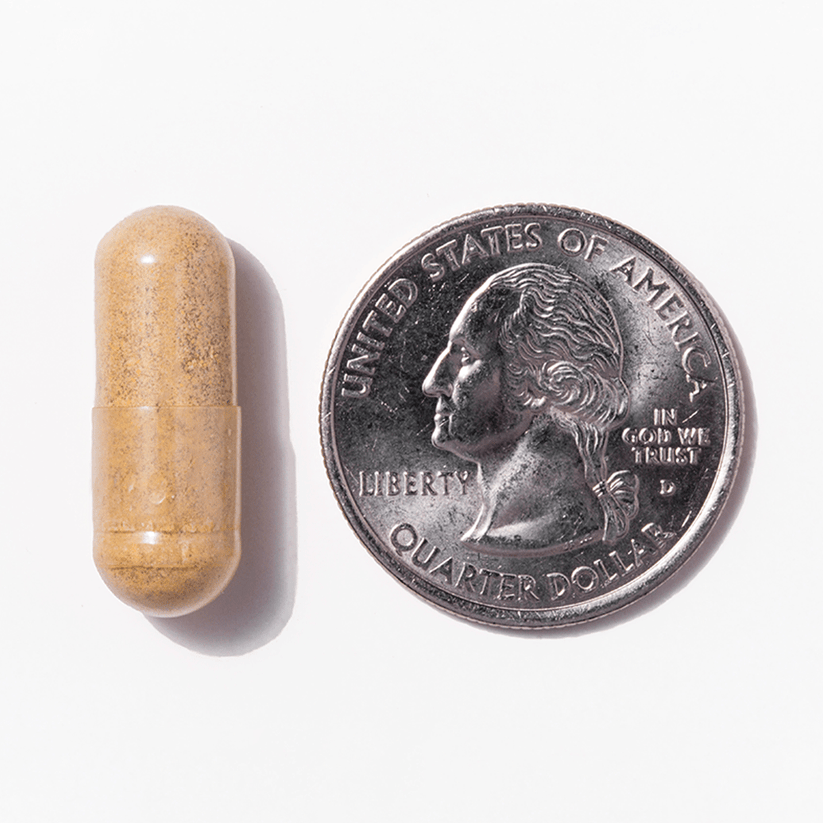 A brown capsule is placed next to a quarter coin on a white background, highlighting the size comparison between the capsule and the coin.
