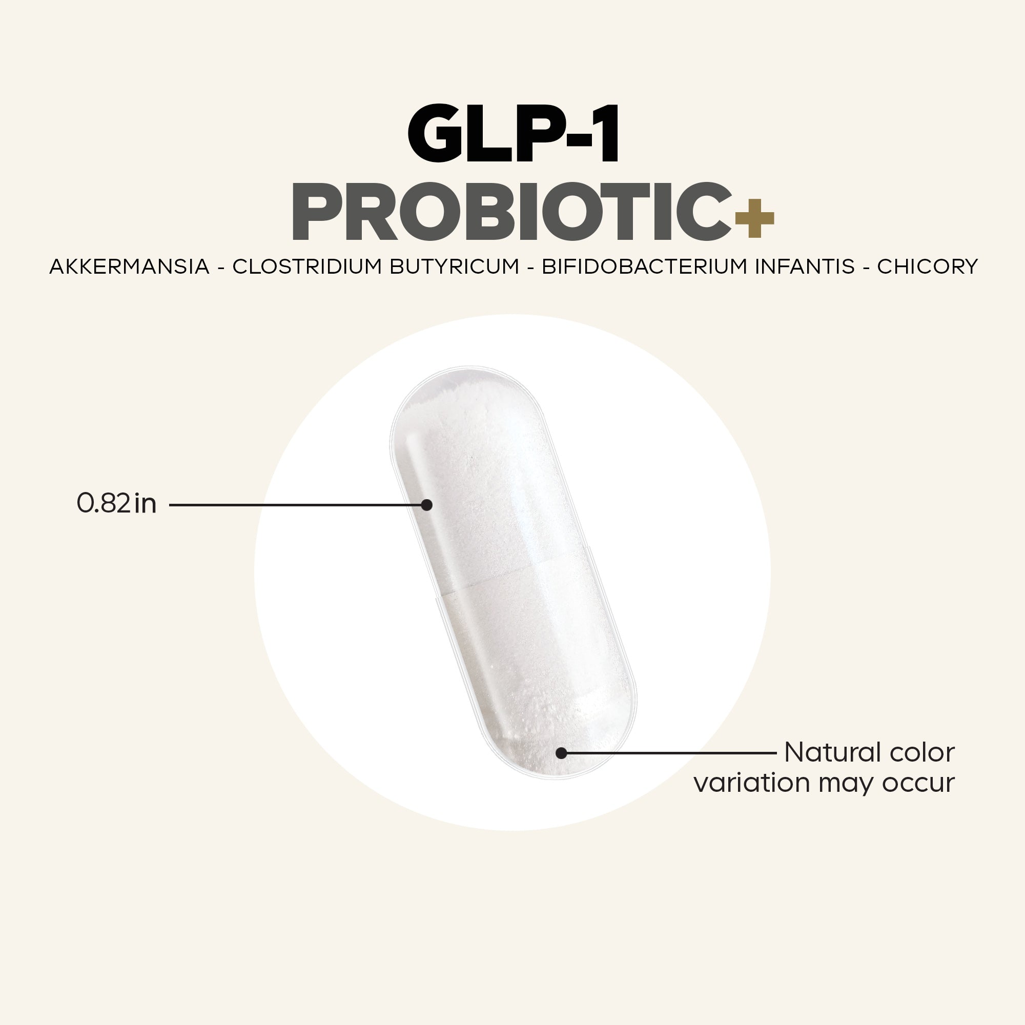 A transparent capsule filled with a white powder is displayed against a light background, labeled with "GLP-1 PROBIOTIC+" and details about its ingredients and size.