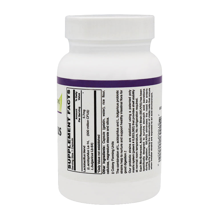 Prebiotic & Probiotic Acidophilus 500 Million CFU Capsules (100 caps) by BariatricPal - High-quality Probiotic by BariatricPal at BariatricPal Store