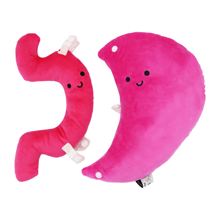 Gastric Sleeve Plush Stomach After Surgery Bari Buddy Pillow by BariatricPal - High-quality Plush Toy by BariatricPal at BariatricPal Store
