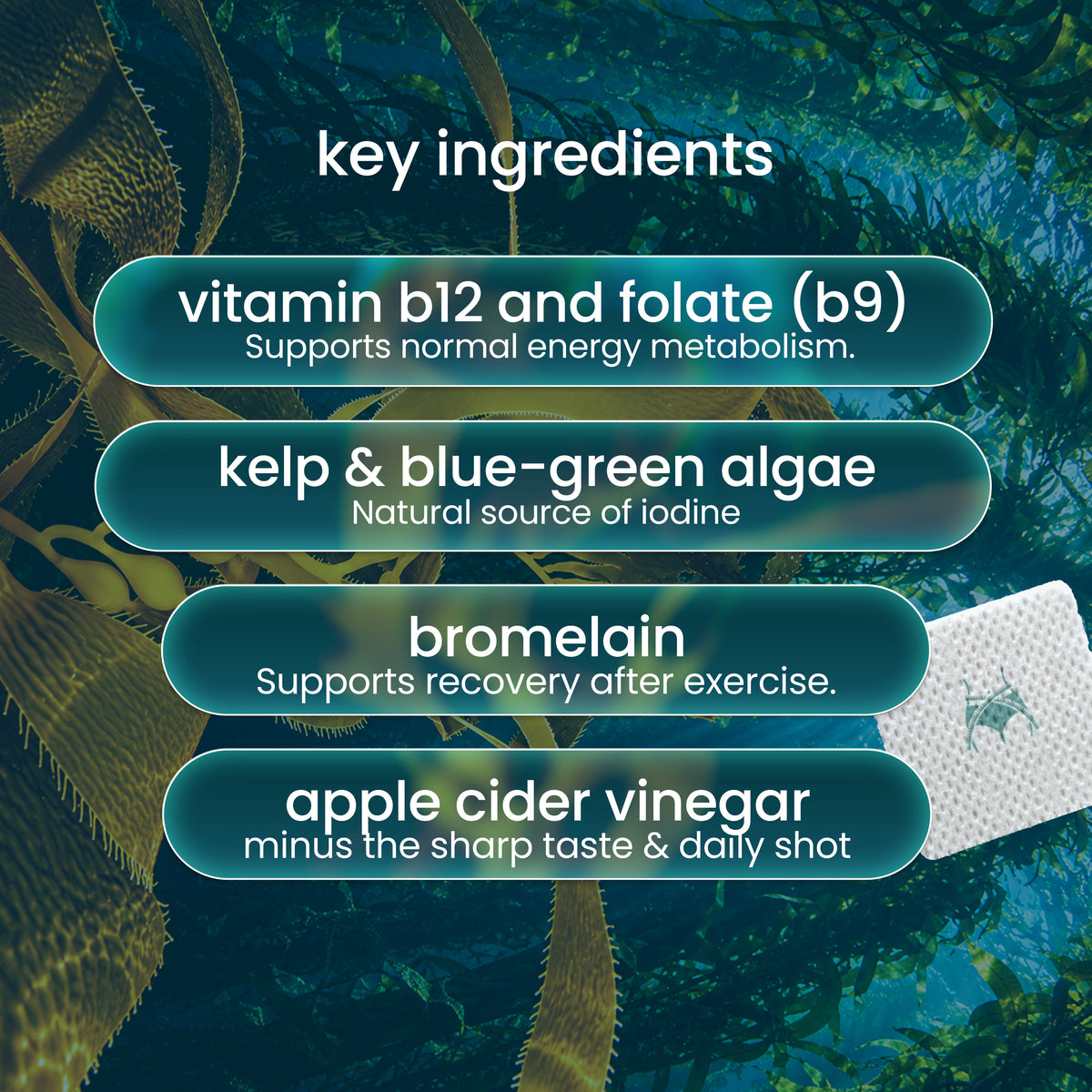Natural Weight Loss Enhancer Patch - wear up to 8 hours.