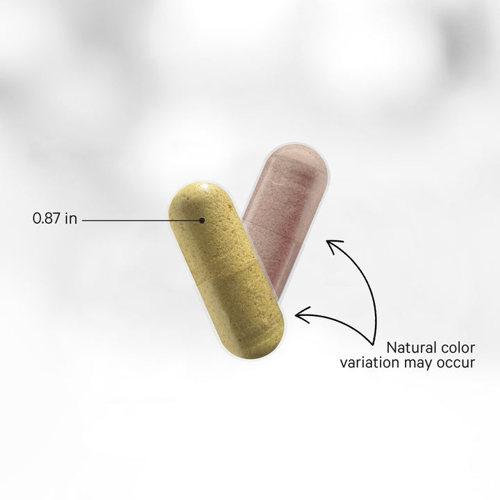 SBO Probiotics 50 Billion CFU Capsules Soil-Based Organisms with Prebiotics Supplement by Codeage - High-quality Probiotic by Codeage at BariatricPal Store