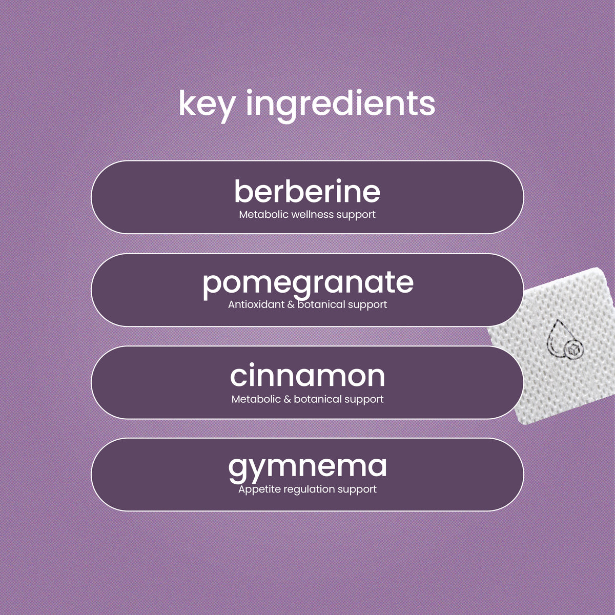 Four key ingredients for a wellness product are listed on a purple background: berberine for metabolic support, pomegranate as an antioxidant, cinnamon for metabolic support, and gymnema for appetite regulation.