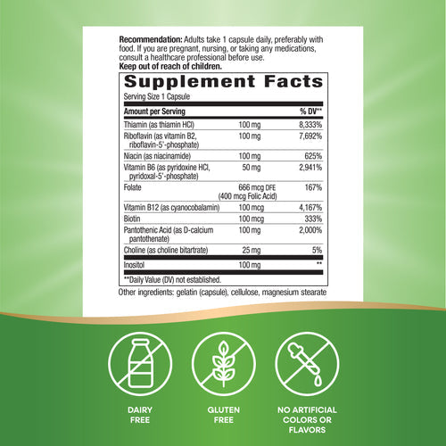 Nature's Way Vitamin B-100 Complex 100 capsules