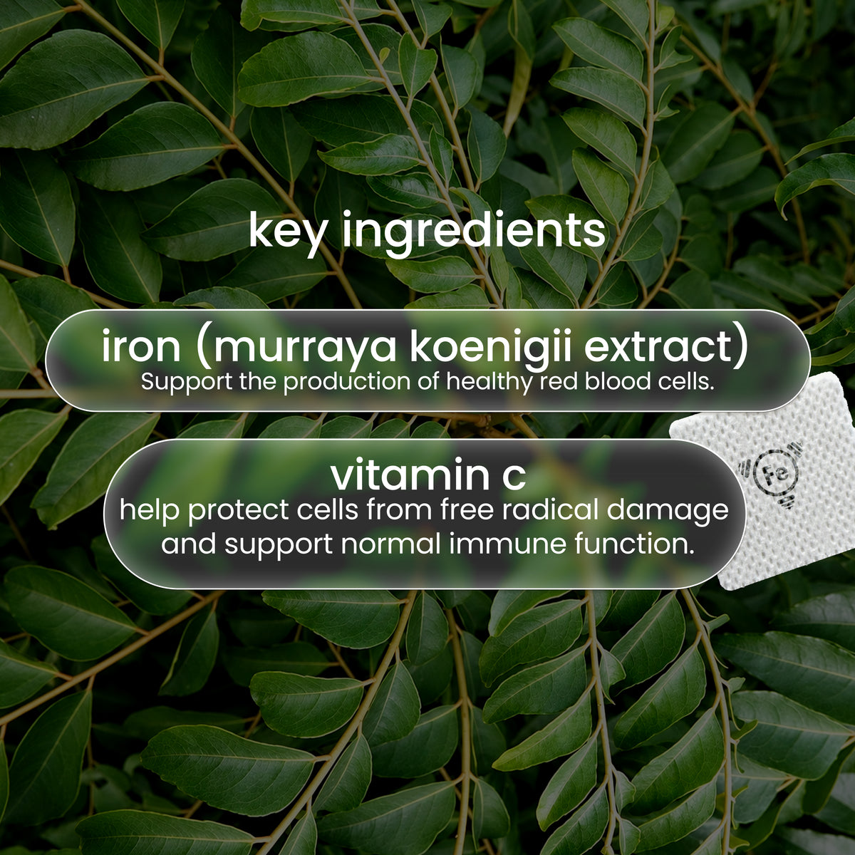 Text on a background of green leaves highlights key ingredients: iron (murraya koenigii extract) for healthy red blood cells, and vitamin C for cell protection and immune support.