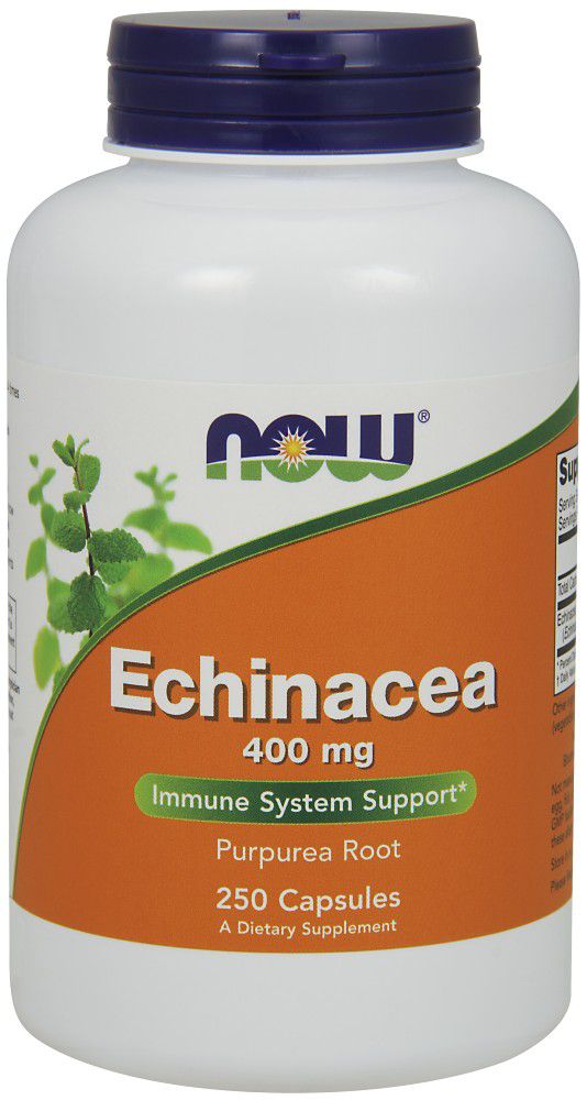 NOW Echinacea 250 capsules - High-quality Herbs by NOW at BariatricPal Store