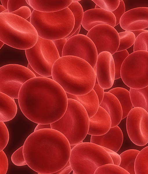 Journey 'Gentle' Iron Tiny Capsules by Bariatric Eating - High-quality Vitamins by Bariatric Eating at BariatricPal Store