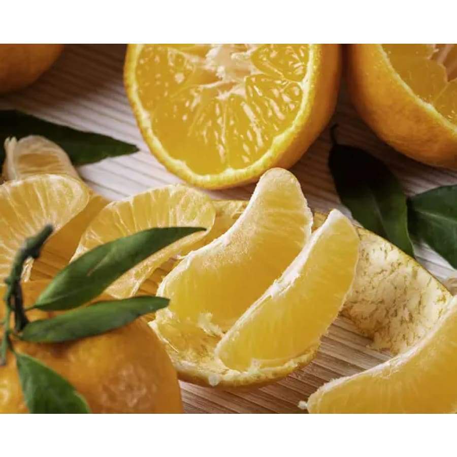 Vitamin C-1000 with 50mg Citrus Bioflavonoid Capsules by BariatricPal - High-quality Vitamin C by BariatricPal at BariatricPal Store