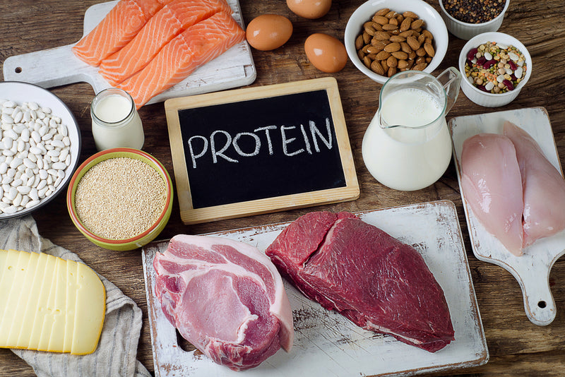 The Importance of Protein in a Bariatric Diet