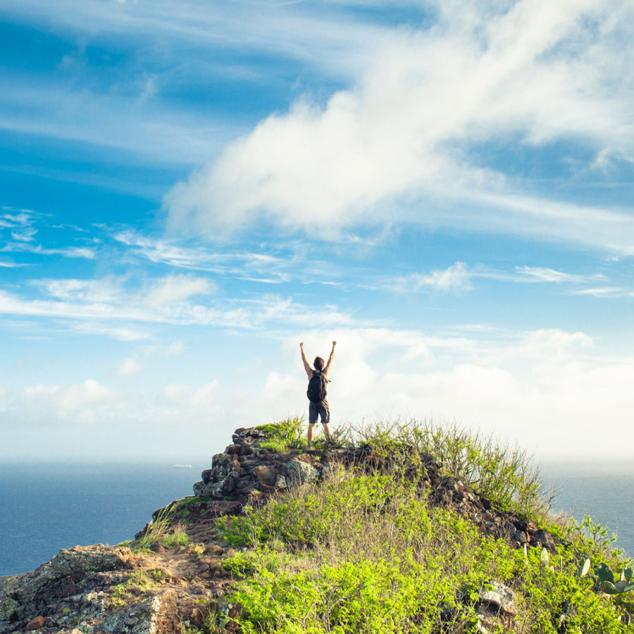 A person with a backpack stands triumphantly on a rocky outcrop, raising their arms in celebration against a backdrop of blue skies and the ocean.