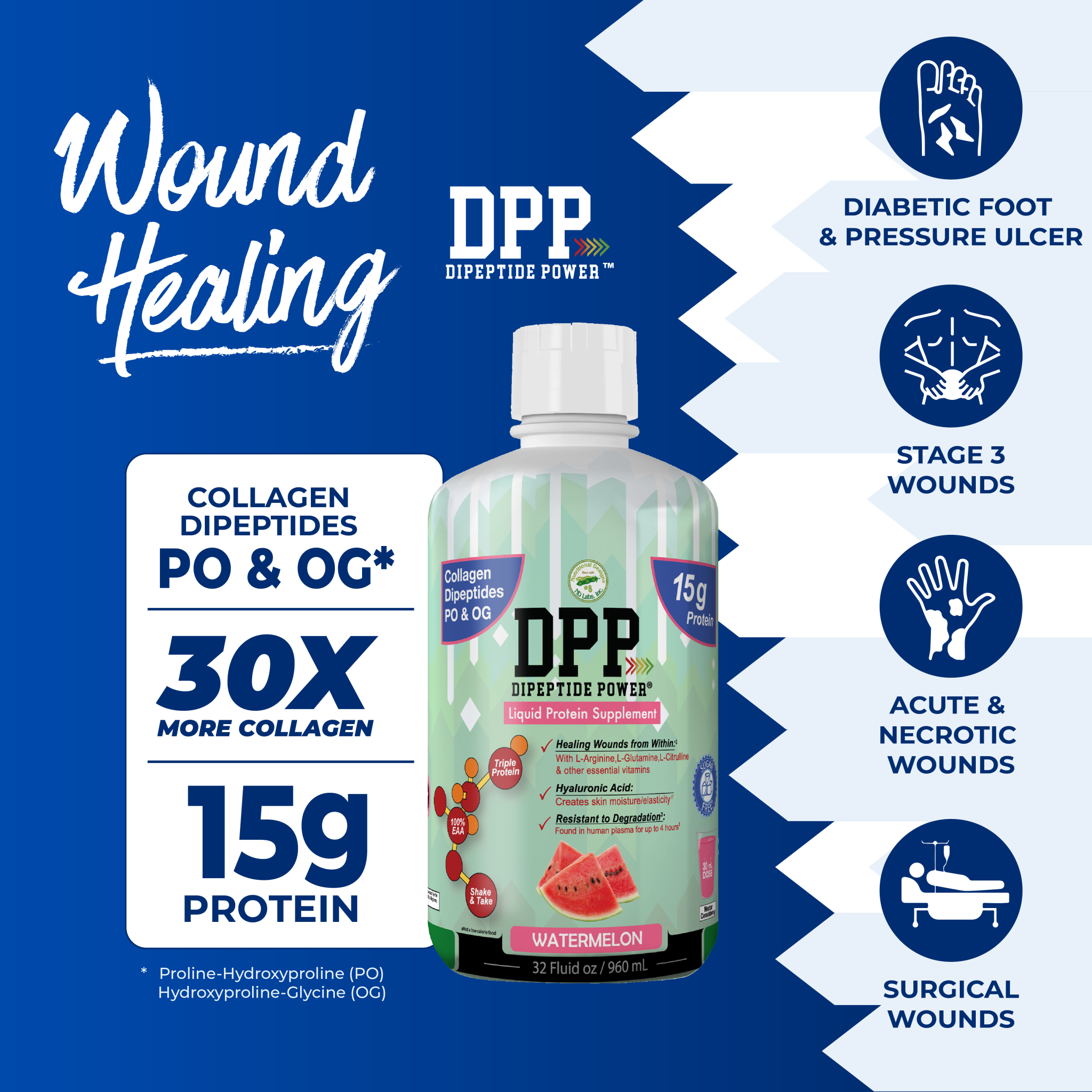 A bottle of Dipeptide Power liquid protein supplement in watermelon flavor, featuring information on collagen content, protein amount, and benefits for wound healing, set against a blue background with health-related icons.